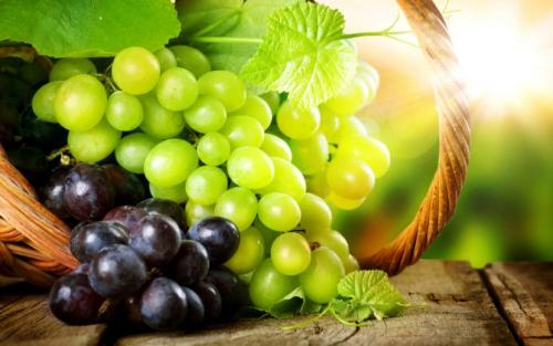 Как растет виноград картинки. Виноград — история, описание, особенности ухода, сорта и болезни + 80 фото