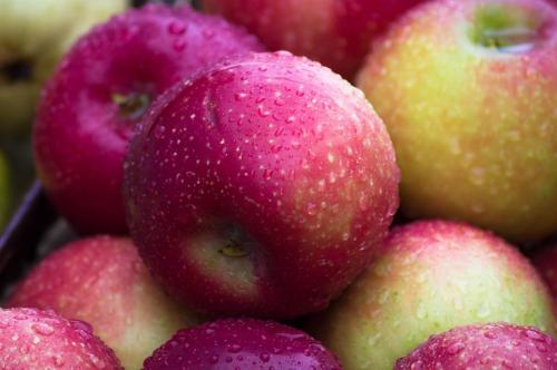 Коммерческие сорта яблонь. 50 сортов яблок с фото и описаниями