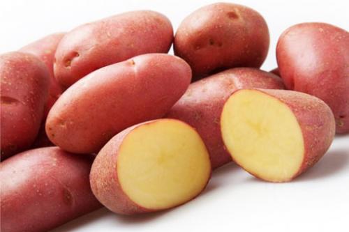 Красная картошка польза. Полезные свойства красного картофеля, замедляющего процессы старения