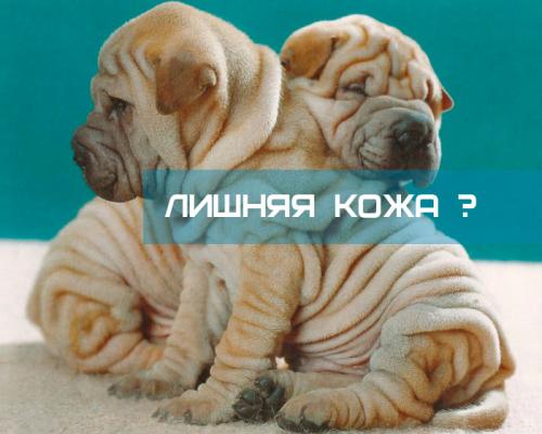 Каковы преимущества и недостатки различных методов удаления лишней кожи