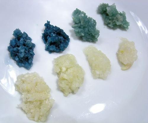 Можно ли есть синий чеснок. Версия ученых