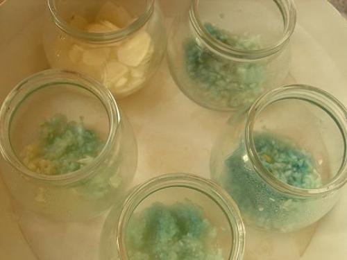 Можно ли есть синий чеснок. Версия ученых