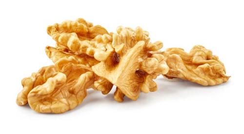 Какие Орехи растут в россии. Фундук 22 Какие Орехи растут в россии. Фундук 22