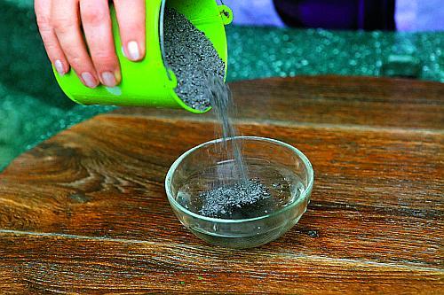 Как правильно ухаживать за комнатными растениями. Что нужно для ухода за комнатными растениями: почва для выращивания 11 Как правильно ухаживать за комнатными растениями. Что нужно для ухода за комнатными растениями: почва для выращивания 11