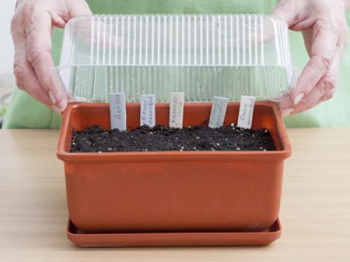 Как правильно ухаживать за комнатными растениями. Что нужно для ухода за комнатными растениями: почва для выращивания