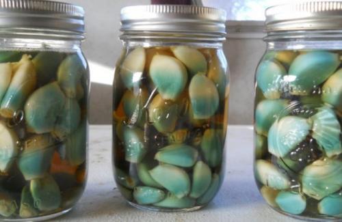 Почему чеснок зеленеет в сале. Почему зеленеет чеснок