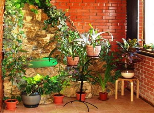 Уход за комнатными растениями зимой. Секреты зимнего ухода за комнатными растениями: подкормка, полив, освещение, температура