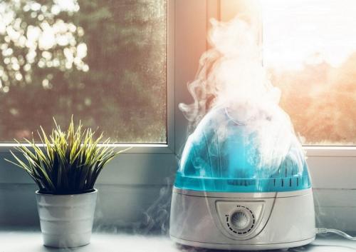 Уход за комнатными растениями зимой. Секреты зимнего ухода за комнатными растениями: подкормка, полив, освещение, температура