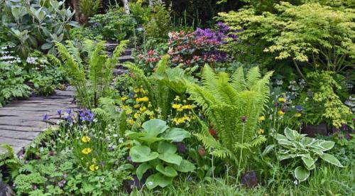 Крупнолистовые растения для сада. Добавление статьи в новую подборку 09