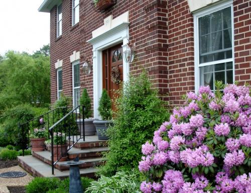 Растения с красивыми листьями для сада. Декоративные растения — лучшие и самые популярные растения для сада (115 фото)