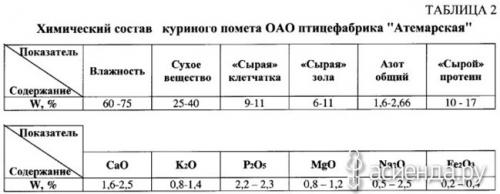 Что такое куриный перегной и как он образуется. Почему дачники выбирают куриный помёт