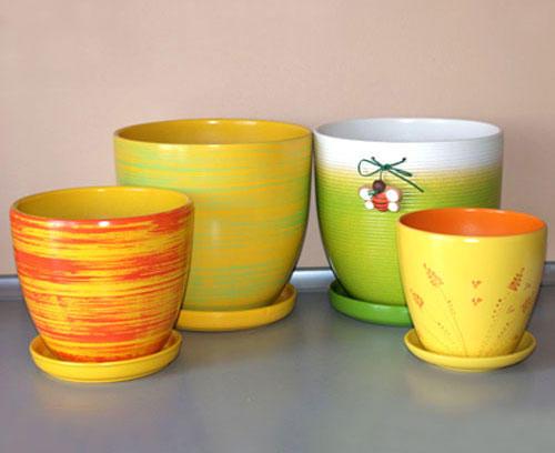 Можно ли пересаживать комнатные цветы зимой. Почему пересаживают