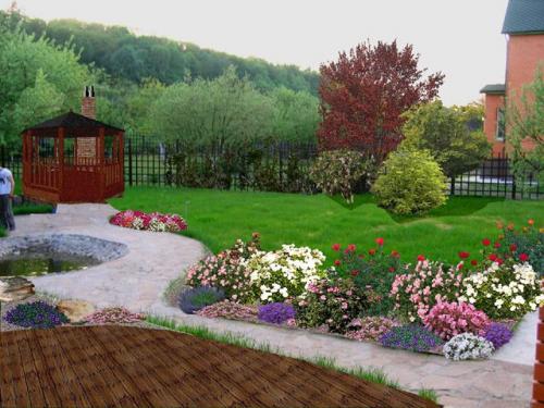 Какие комнатные растения осенью пересаживают. Какие цветы пересаживают осенью: прочитайте сейчас все советы в одной статье