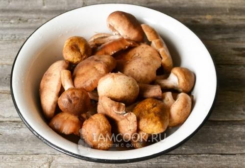 Грибная икры из опят на зиму в банках. Приготовление грибной икры из опят на зиму 16