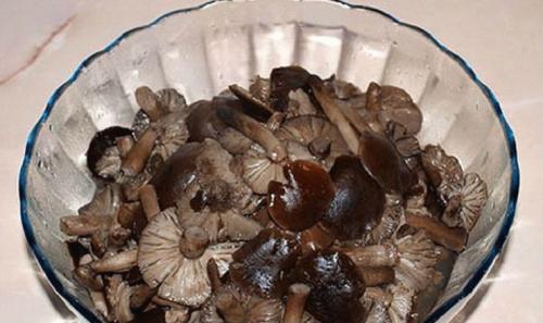 Грибная икры из опят на зиму в банках. Приготовление грибной икры из опят на зиму