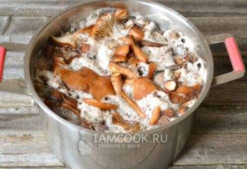 Грибная икры из опят на зиму в банках. Приготовление грибной икры из опят на зиму 17