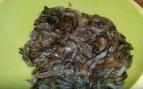 Грибная икры из опят на зиму в банках рядом санкт-петербург. Рецепты приготовления самой вкусной грибной икры из опят на зиму