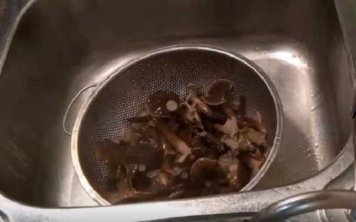 Грибная икры из опят на зиму в банках рядом санкт-петербург. Рецепты приготовления самой вкусной грибной икры из опят на зиму