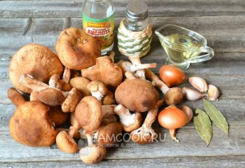 Грибная икры из опят на зиму в банках. Приготовление грибной икры из опят на зиму 15