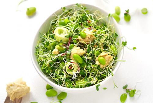 Выращивание микрозелени семян Чиа у себя дома. Микрозелень семян Чиа - незаменимый продукт на вашем столе 07