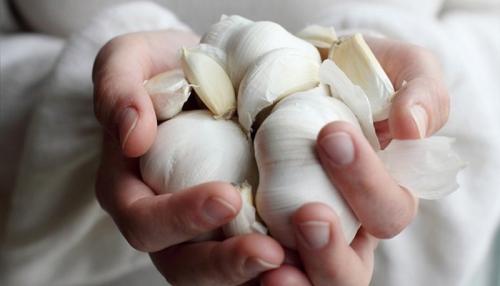 Почему не нужно выбрасывать чесночную шелуху. Почему необходимо сохранять шелуху от чеснока