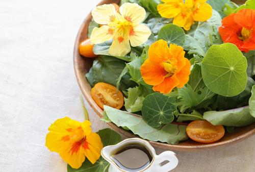 Семена чиа на моем подоконнике. 14 Семена чиа на моем подоконнике. 14