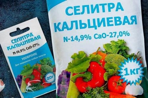 Листовая подкормка клубники карбамидом. Чем подкормить клубнику весной после зимы в первый раз: наиболее подходящие удобрения