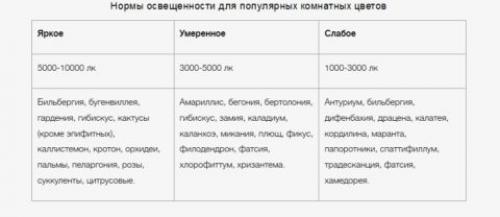 Подсветка цветов светодиодной лентой. Освещение для растений светодиодное: характеристики, советы по самостоятельному устройству