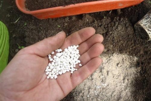 Корневая подкормка мочевиной. Как применять мочевину в качестве удобрения