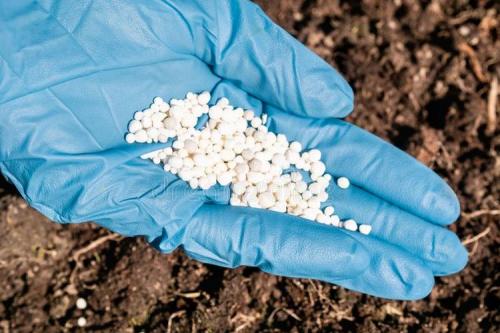 Корневая подкормка мочевиной. Как применять мочевину в качестве удобрения