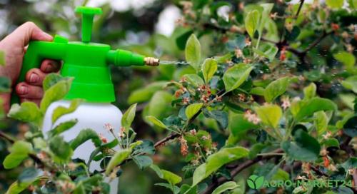 Когда и как поливать мочевиной растения.  Удобрение для декоративных культур  01 Когда и как поливать мочевиной растения.  Удобрение для декоративных культур  01