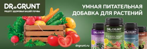 Корневая подкормка мочевиной. Как применять мочевину в качестве удобрения