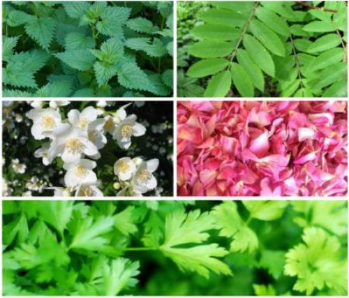 Уход за стареющей кожей. По каким причинам происходит преждевременное старение кожи? 06