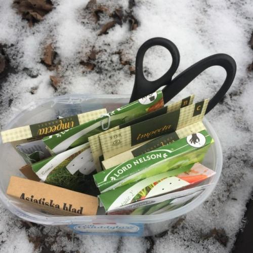 Какие растения лучше всего сажать в текущий сезон. Температура почвы — главный показатель начала посевной