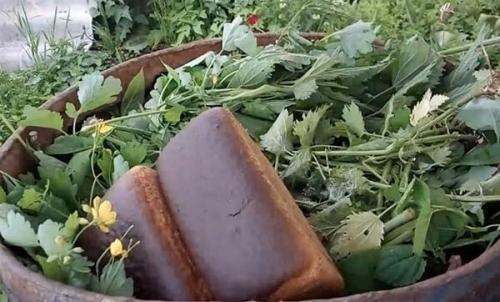 Удобрение из КРАПИВЫ для комнатных растений. Удобрение из КРАПИВЫ, как приготовить и применять