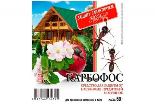 Земляничный долгоносик, как бороться. 