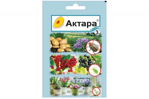 Земляничный долгоносик, как бороться. 