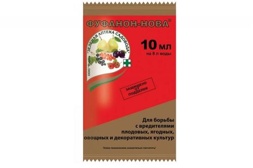 Земляничный долгоносик, как бороться. 