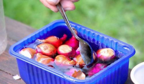 Как защитить луковичные культуры от вредителей и заболеваний после посадки. Препараты для обработки луковиц