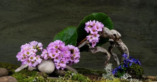 Осенние секреты: как правильно высаживать луковичные культуры в сентябре 04 Осенние секреты: как правильно высаживать луковичные культуры в сентябре 04