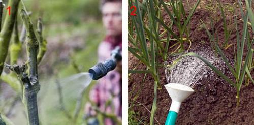 Как хранить борную кислоту, чтобы она не потеряла свои свойства. Действие и основные правила использования