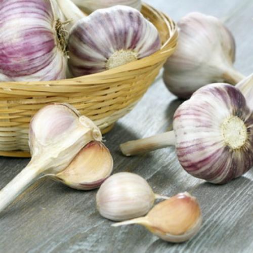 Почему чеснок не растет. Яровой чеснок: важные особенности выращивания . Основные ошибки дачников при посадке 12