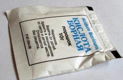 Как эффективно избавиться от муравьев с помощью борной кислоты: советы для квартиры и огорода 01 Как эффективно избавиться от муравьев с помощью борной кислоты: советы для квартиры и огорода 01