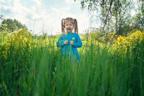 Почему некоторые люди испытывают страх перед муравьями. Боязнь насекомых и её виды