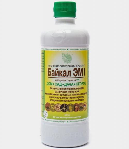 Можно ли использовать борную кислоту для комнатных растений. Комнатные цветы будут цвести, как на дрожжах: 5 универсальных средств помощников