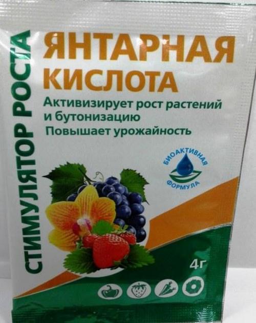 Можно ли использовать борную кислоту для комнатных растений. Комнатные цветы будут цвести, как на дрожжах: 5 универсальных средств помощников