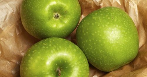 Зимние сорта яблок, хранящиеся до весны. Всё про зимние сорта яблок
