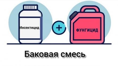 Может ли ГРИН БЭЛТ Борная кислота использоваться вместе с другими агрохимикатами. Как делать баковые смеси: основные правила