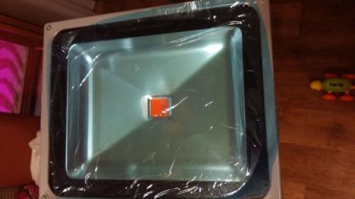 Как влияет освещение на рост и плодоношение клубники. Клубника на подоконнике