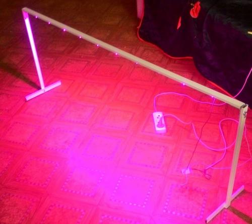 Как влияет освещение на рост и плодоношение клубники. Клубника на подоконнике